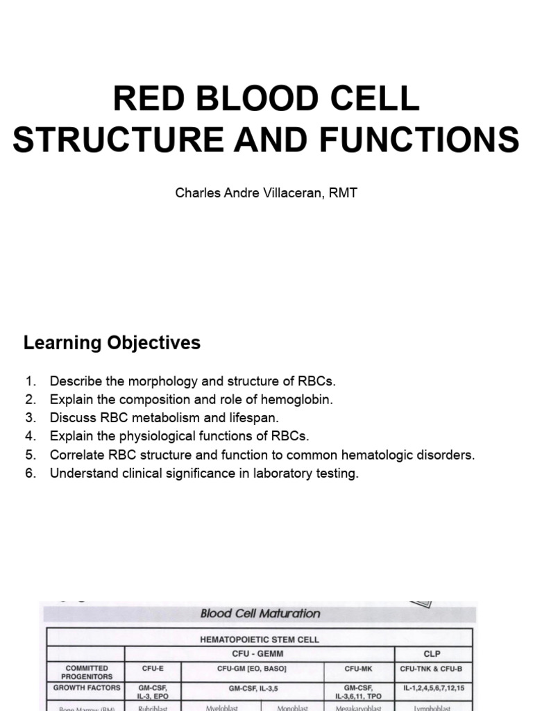 Red Blood Cell Structure and Function | PDF | Hemoglobin | Glycolysis