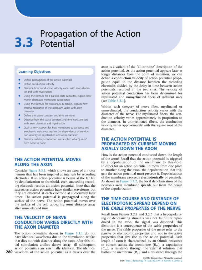 Action Potential Propagation Explained | PDF | Action Potential | Myelin