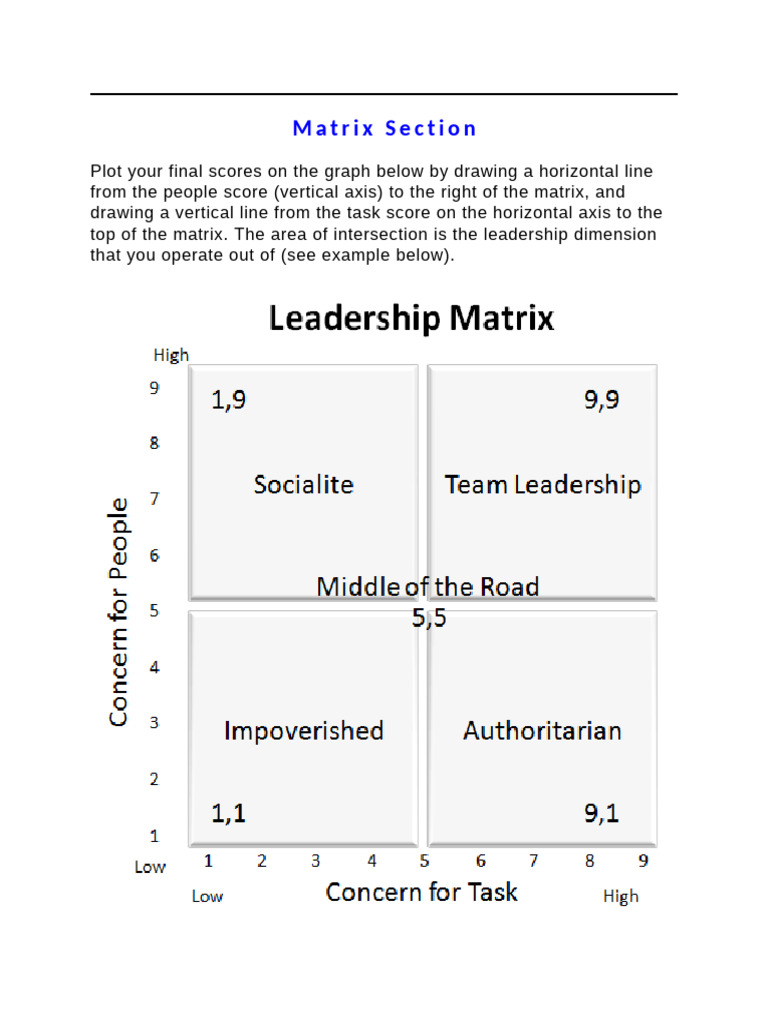 Leadership Style Assessment Matrix | PDF | Learning | Instructional Design