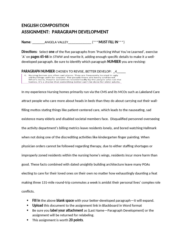 Paragraph Development Assignment Guide | PDF | The Arts