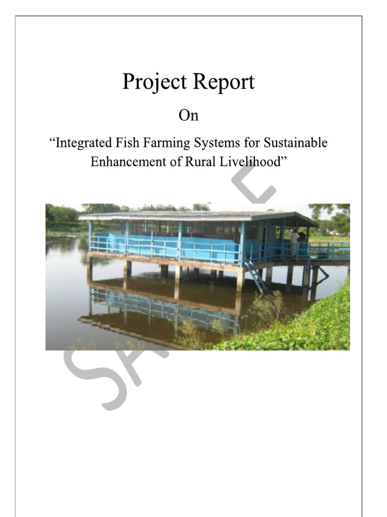 Fish & Chicken 2 | PDF