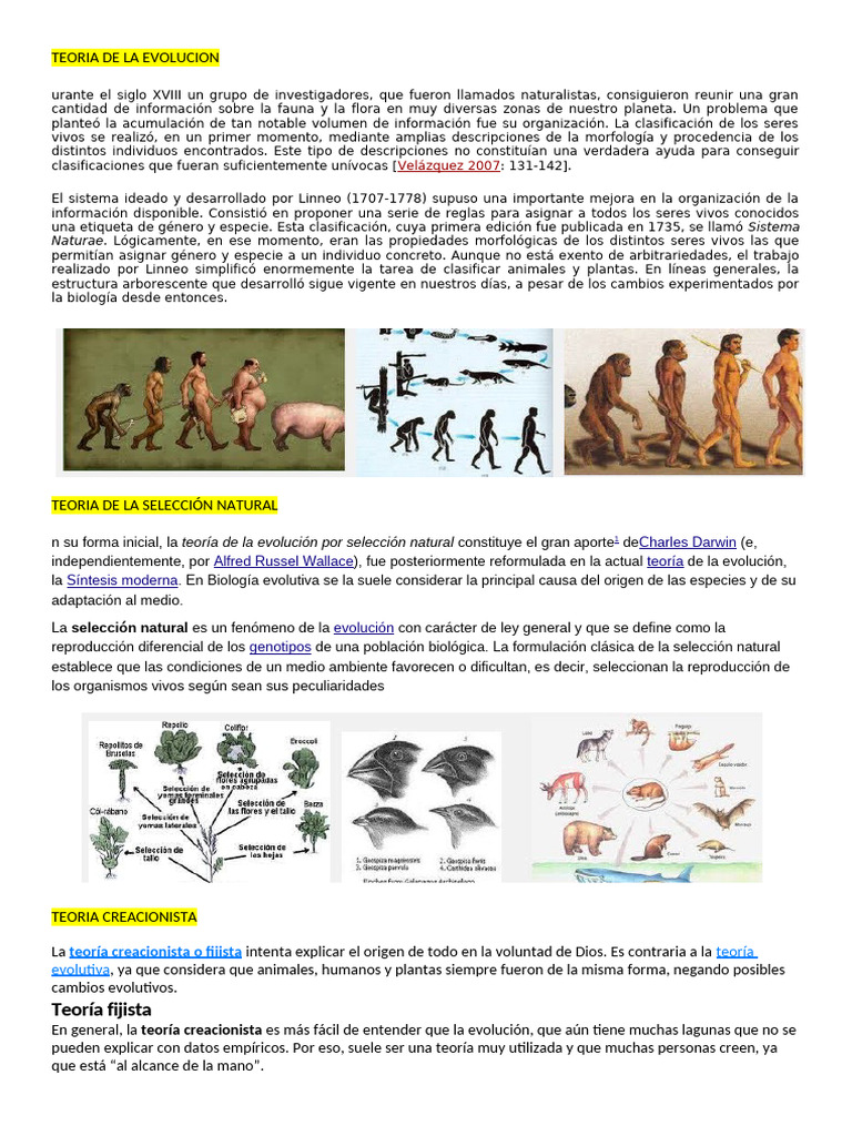 Teorías sobre el Origen de la Vida | PDF | Evolución | Especies