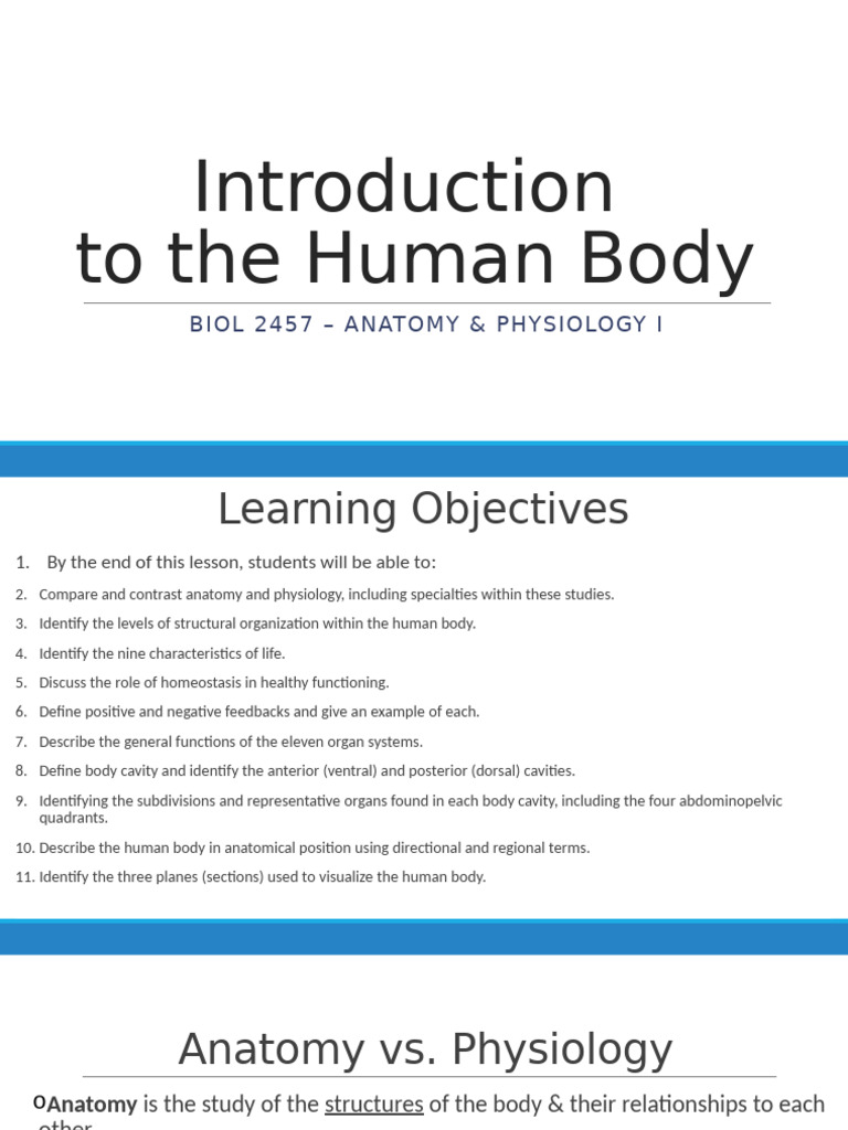 Human Body Anatomy and Physiology Overview | PDF | Anatomical Terms Of ...