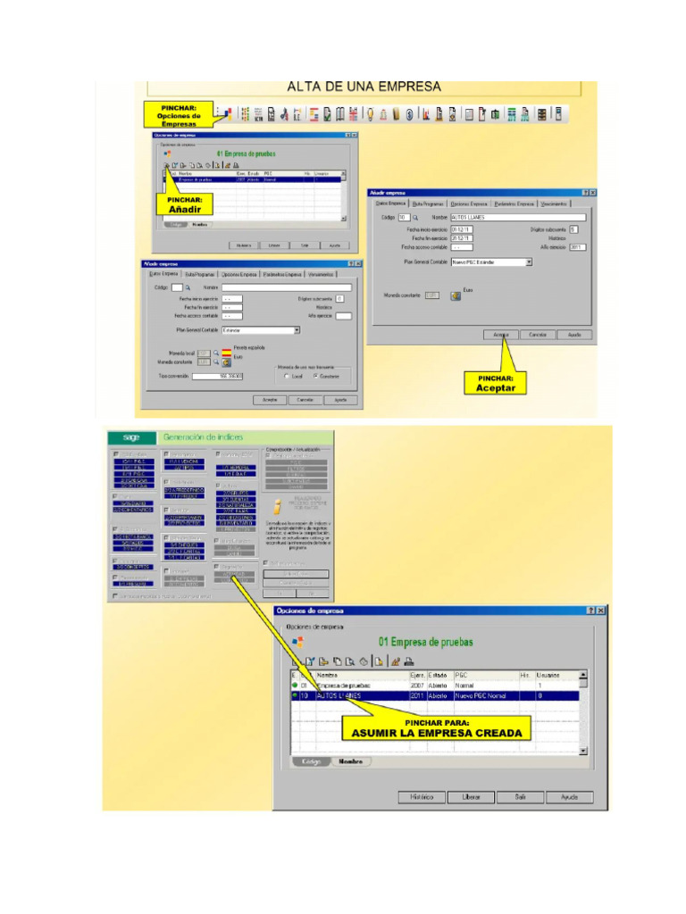 Guía para Contaplus | PDF