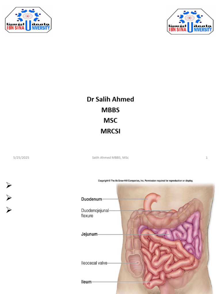 Anatomy and Functions of the Small Intestine | PDF | Gastroenterology ...