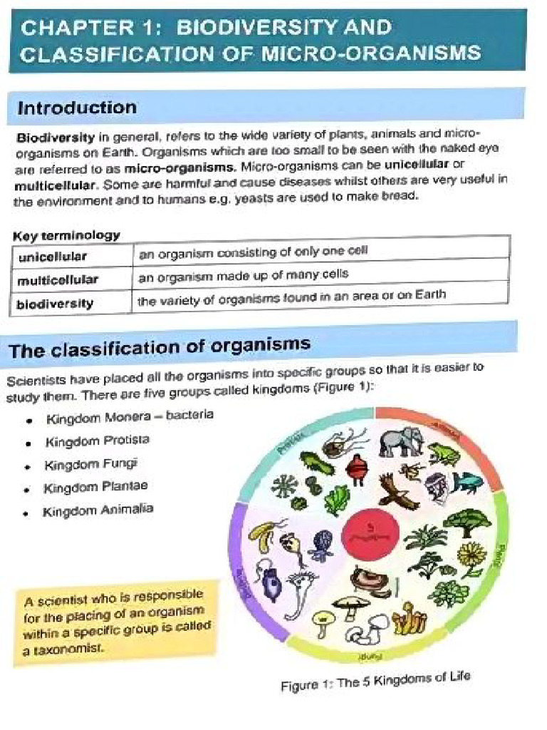 Life Science Notes | PDF