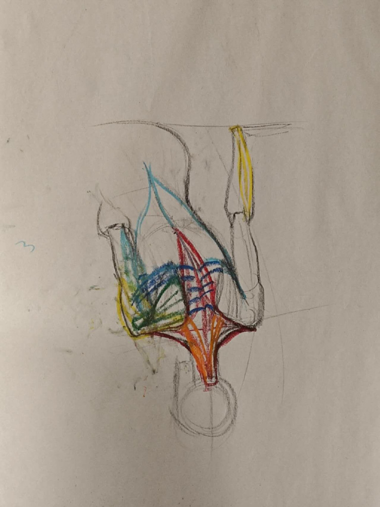 NTD 03 | PDF