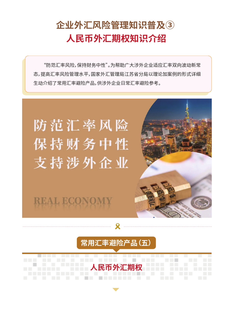 企业外汇风险管理知识普及③ 人民币外汇期权知识介绍| PDF