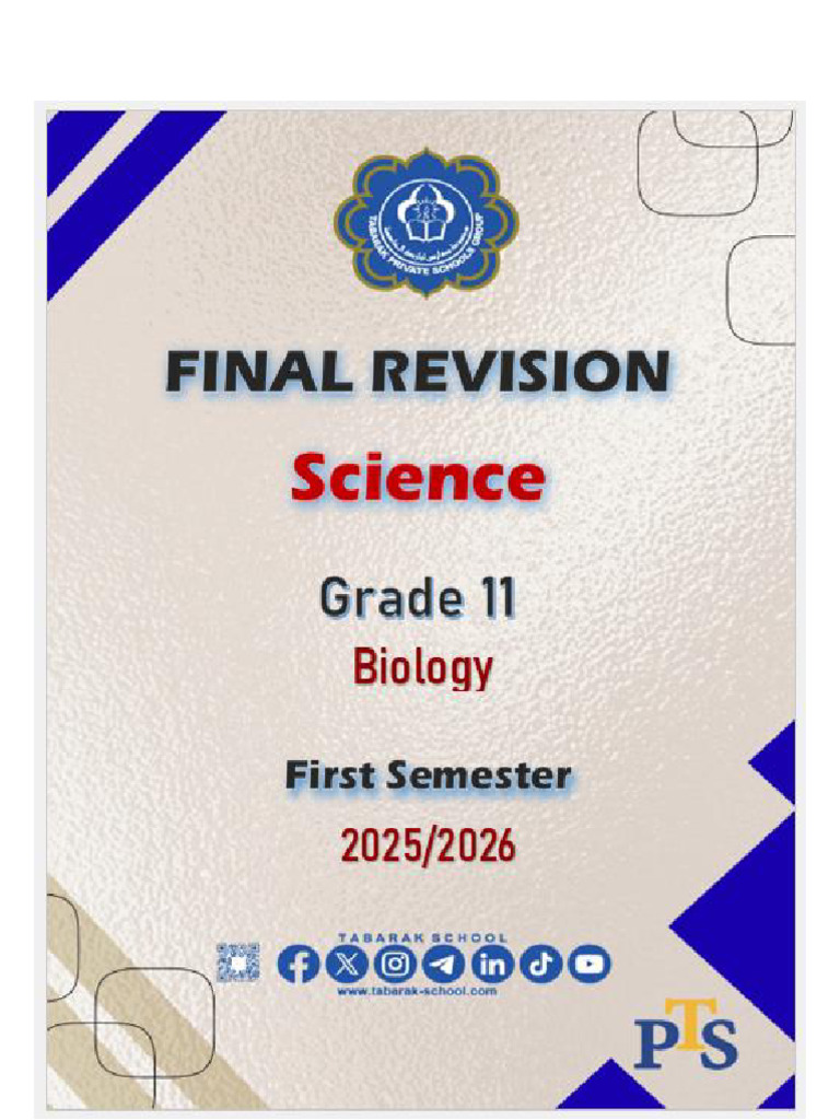Grade 11 Final Exam Revision | PDF
