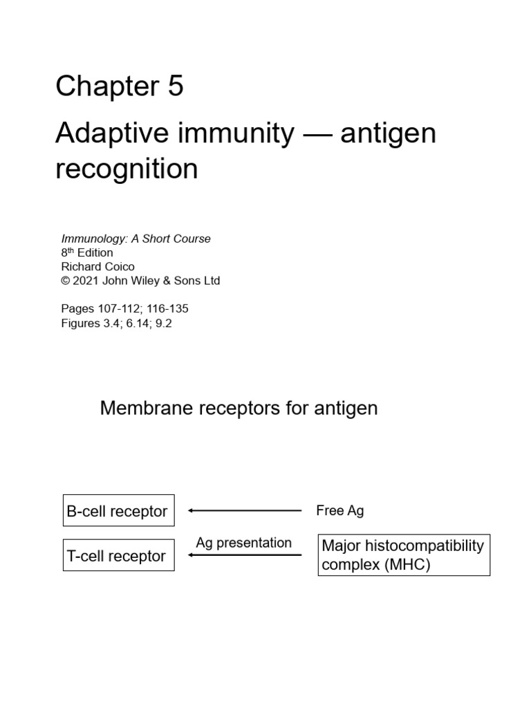 Immu notes 2 (5-9) | PDF | T Cell | Major Histocompatibility Complex