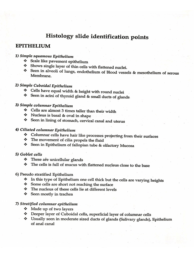 Histology Identification Points | PDF