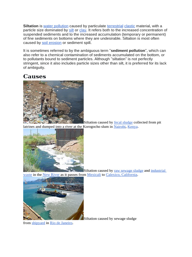 Siltation | PDF | Geomorphology | Pollution