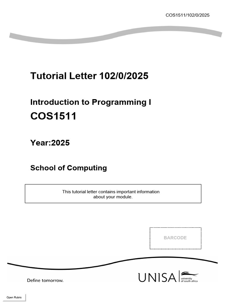 COS1511 Programming Assignment Guide | PDF | Parameter (Computer ...