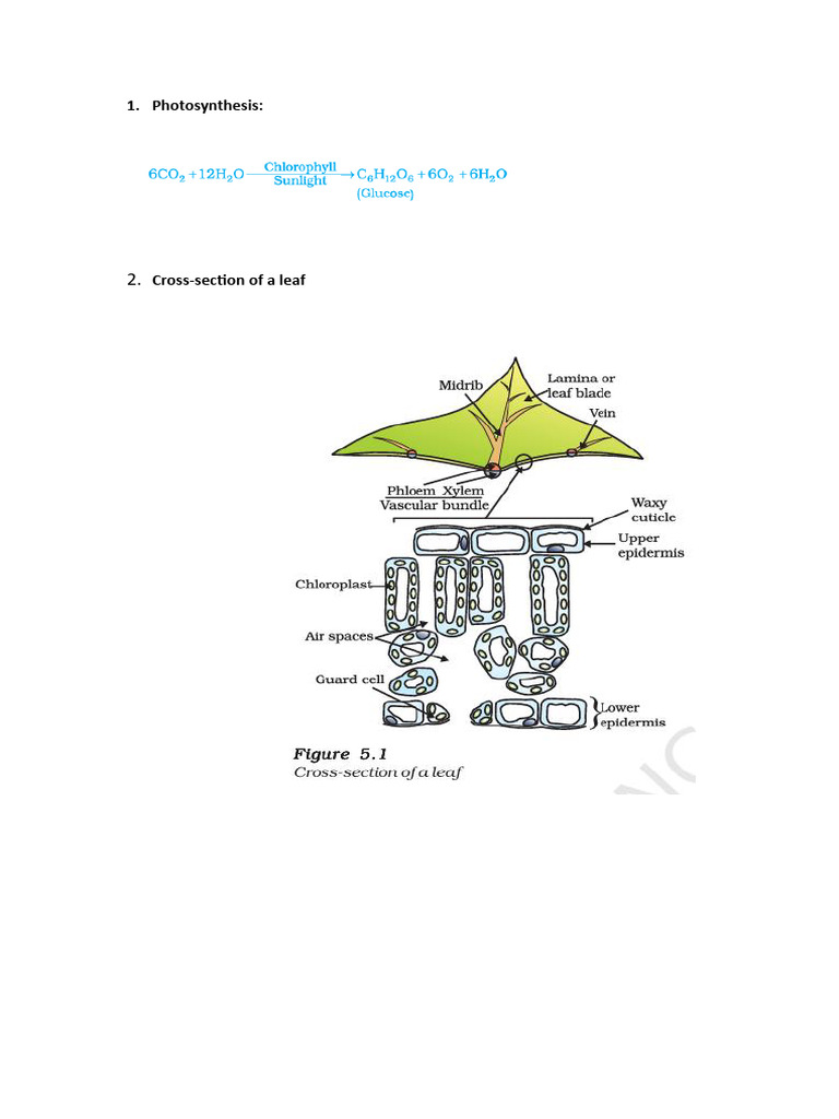 Key Biological Processes and Systems | PDF | Carbon Dioxide ...