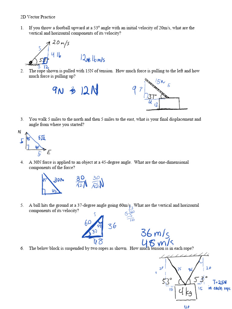 2D Vector Problems and Solutions | PDF