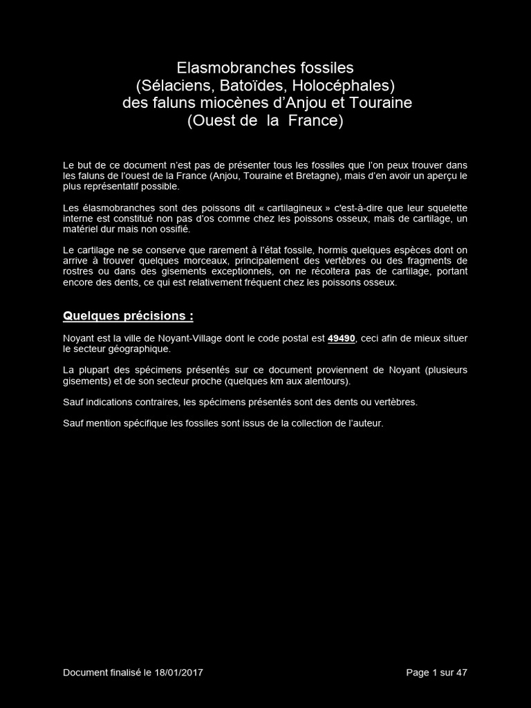 Élasmobranches fossiles en Anjou-Touraine | PDF | Requins | Dent