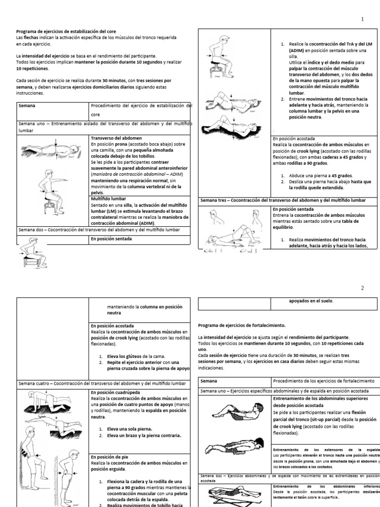 Programa de Ejercicios para el Core | PDF | Sistema musculoesquelético