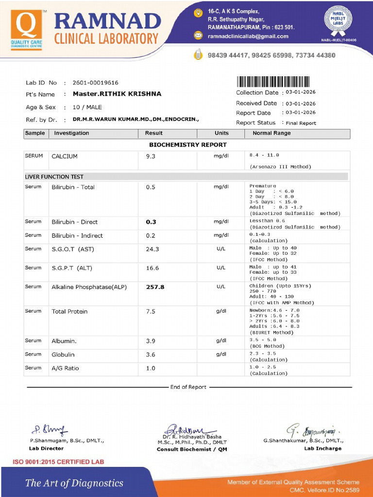 Master - Rithik Krishna | PDF