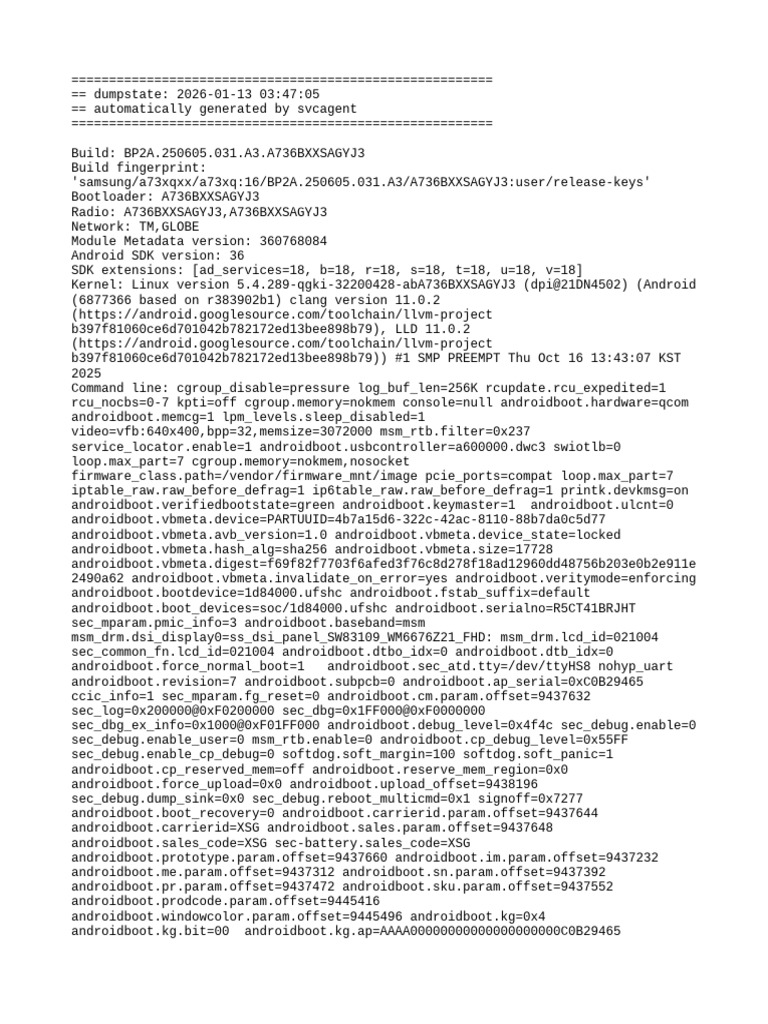 Samsung A736 Dumpstate Report | PDF | Computer Science | System Software