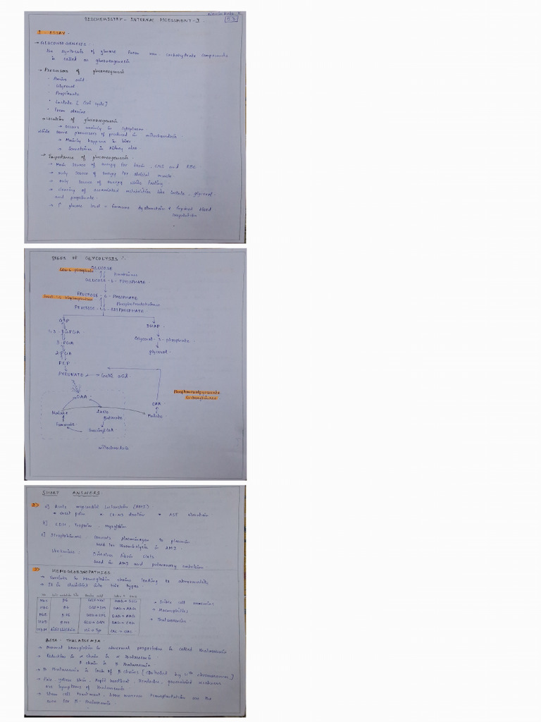 Biochemistry Ia Assignment | PDF