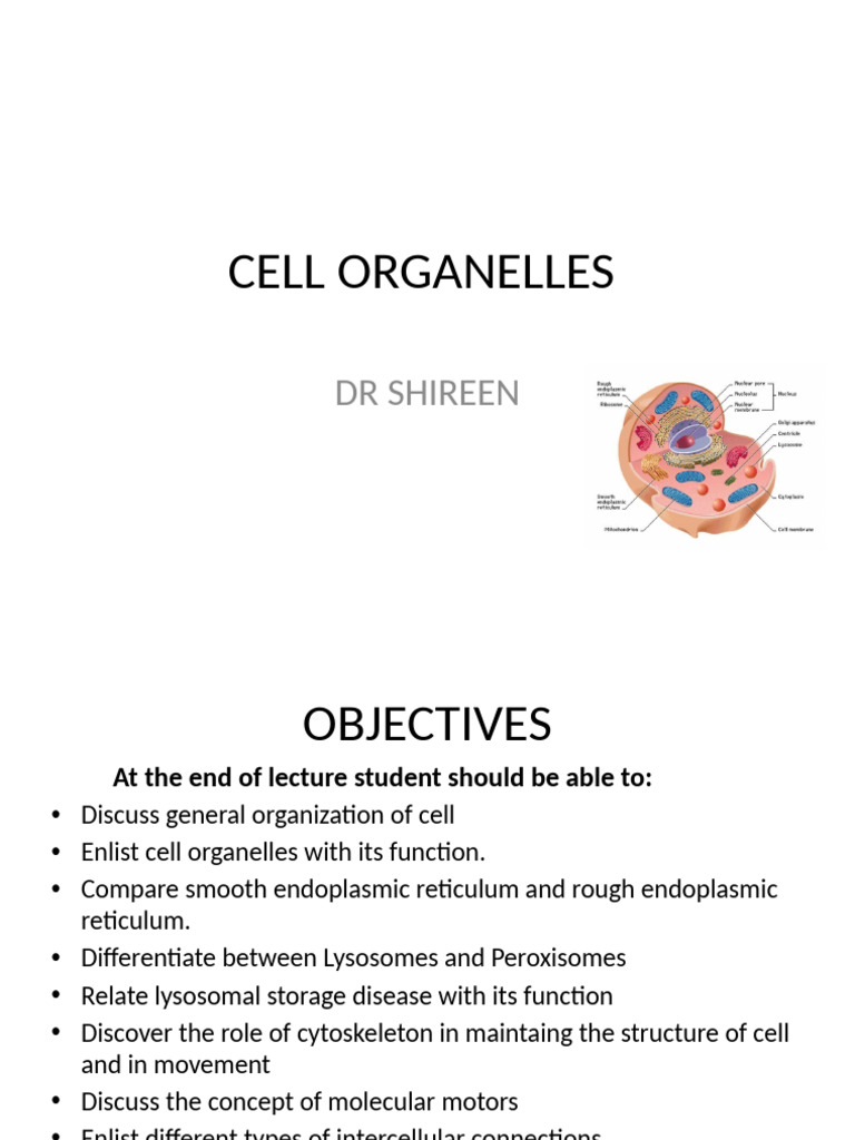 Understanding Cell Organelles and Functions | PDF | Endoplasmic ...