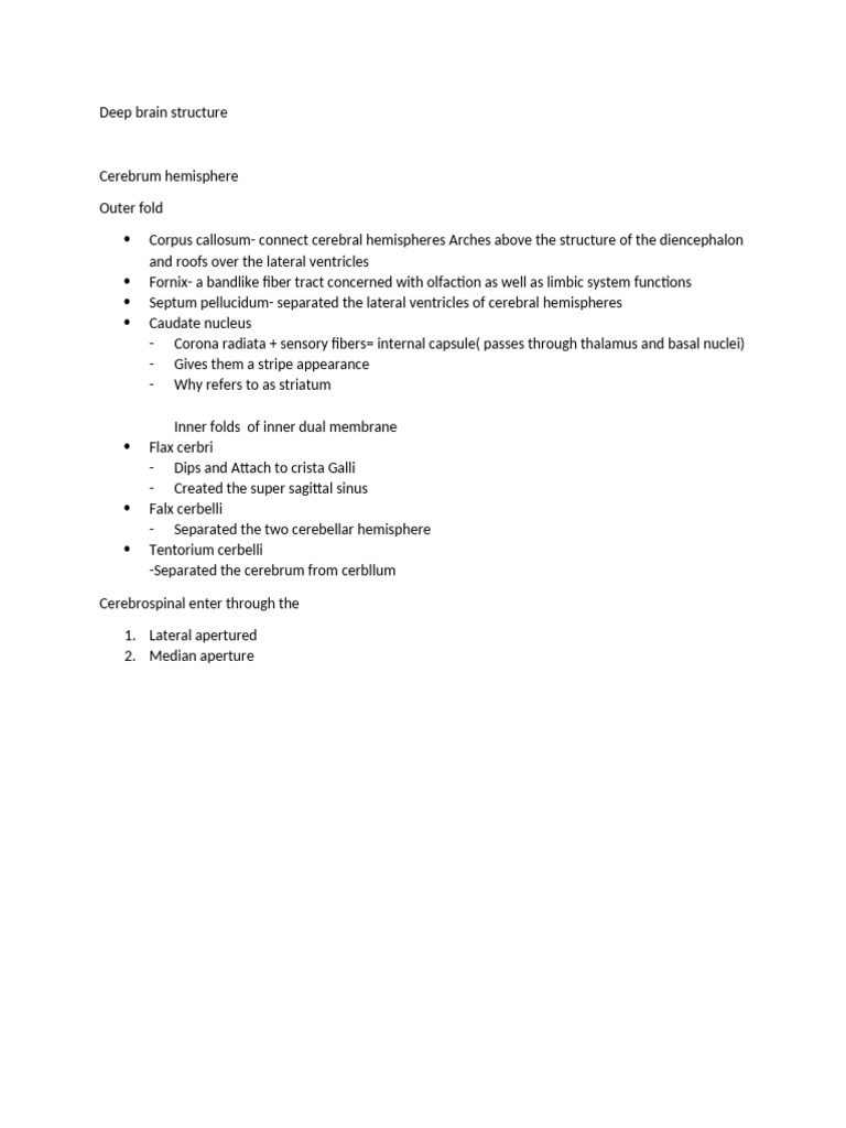Overview of Deep Brain Structures | PDF