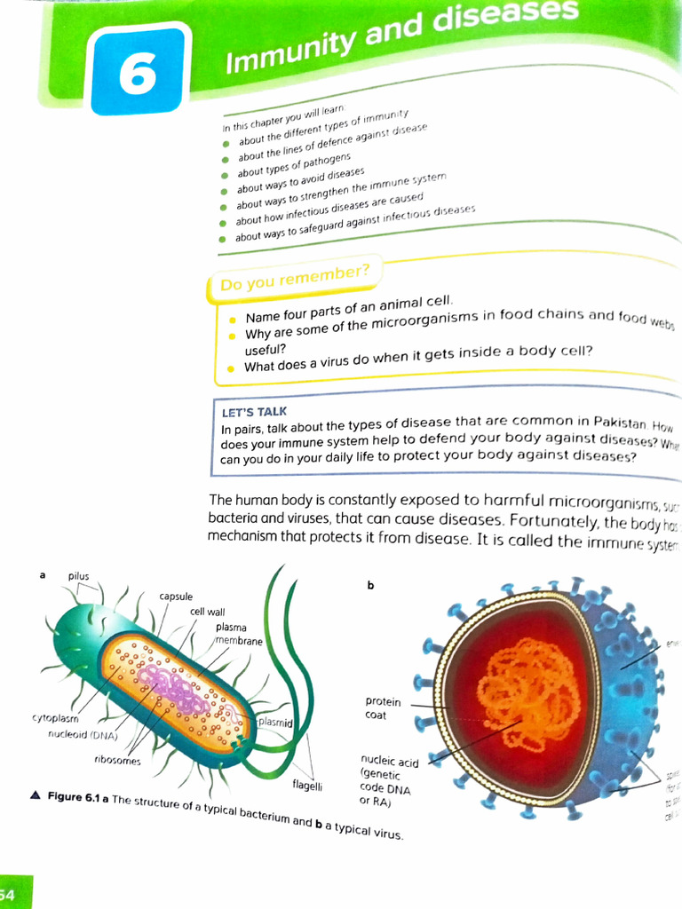 Immunity and Diseases | PDF | Immune System | Infection