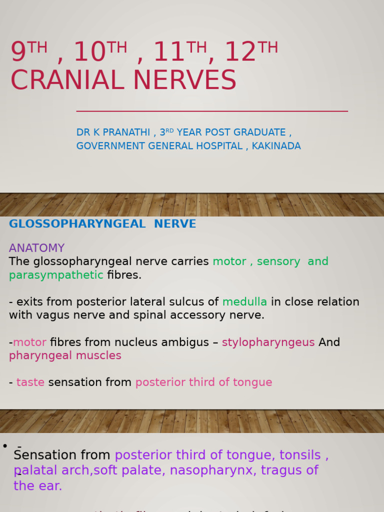 Anatomy and Functions of Cranial Nerves | PDF | Vagus Nerve | Neck