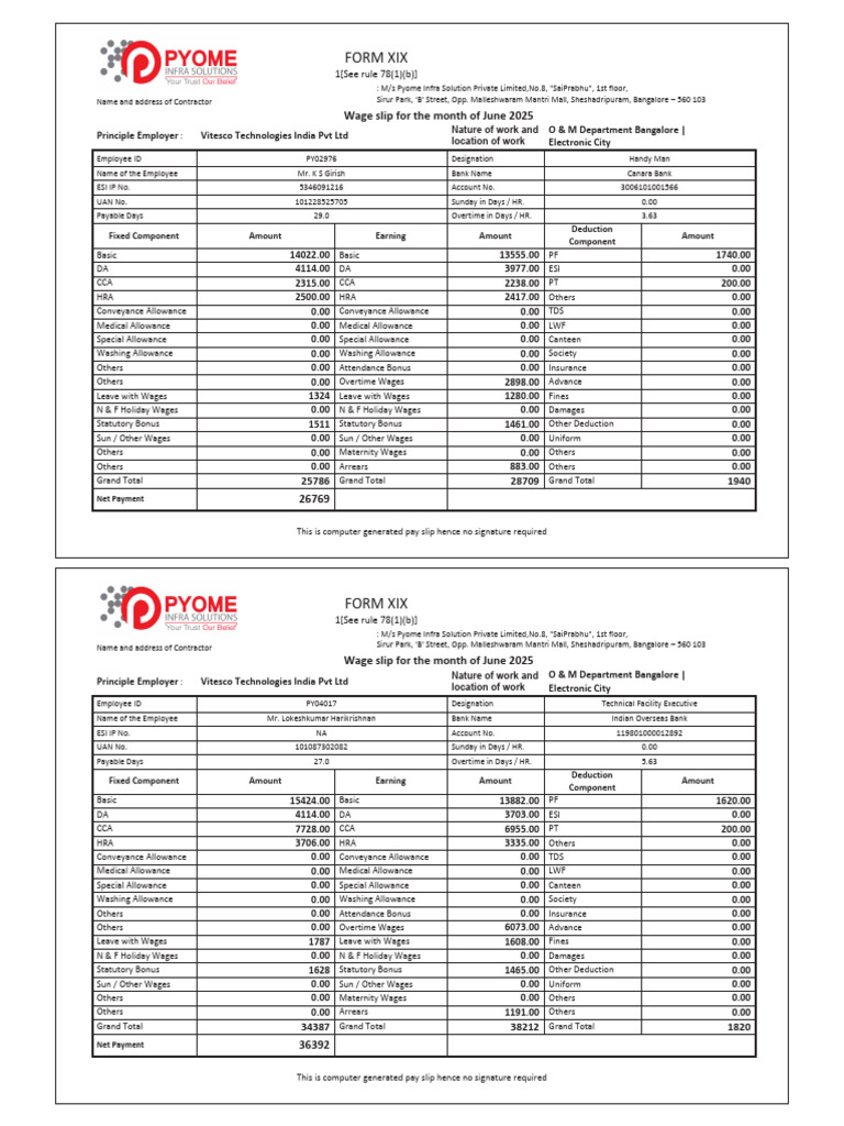 June 2025 Employee Pay Slips Summary | PDF | Overtime | Business