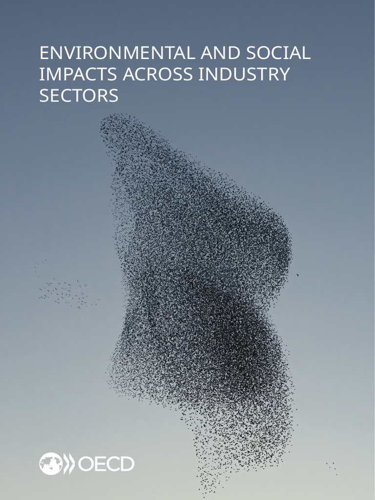 Environmental and Social Impact Analysis | PDF | Mining