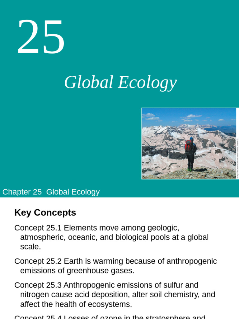 Global Ecology: Biogeochemical Cycles | PDF | Carbon Cycle | Greenhouse Gas