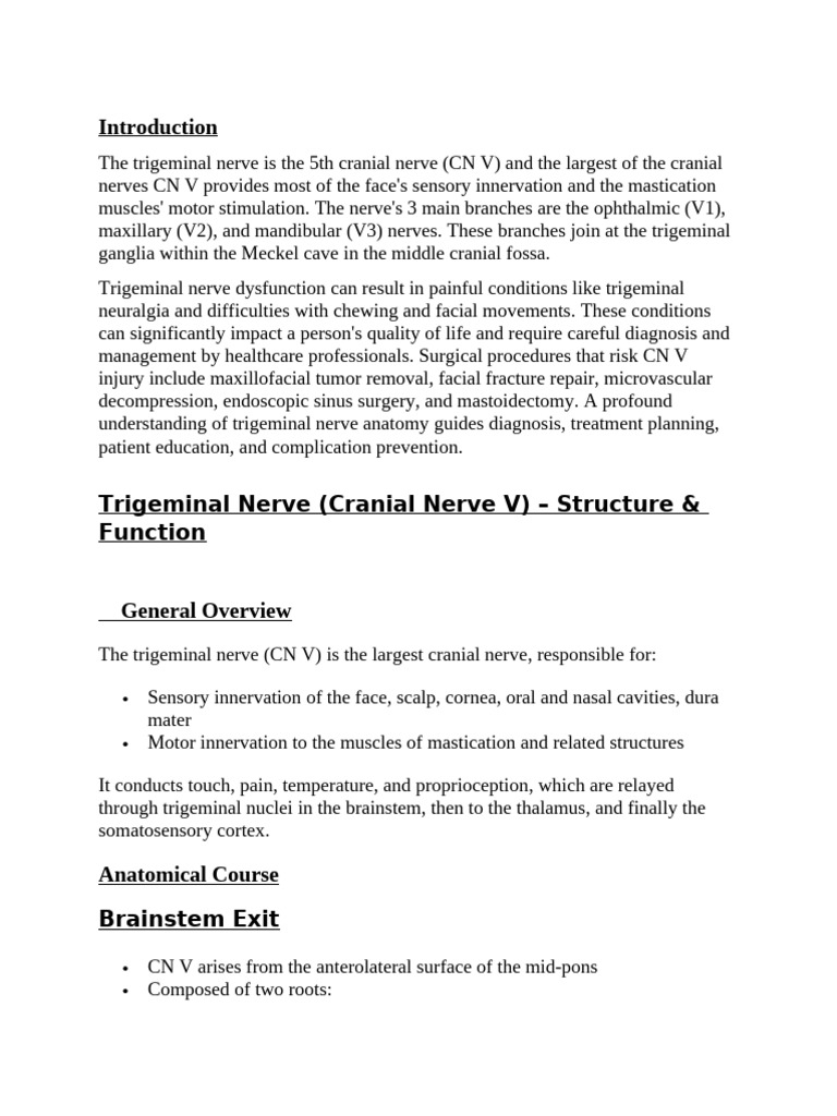 Trigeminal Nerve by ASFA HANIF[1] | PDF | Human Anatomy | Human Head ...