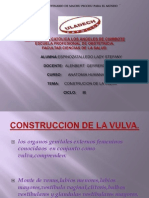 Constitucion de La Vulva-Lady