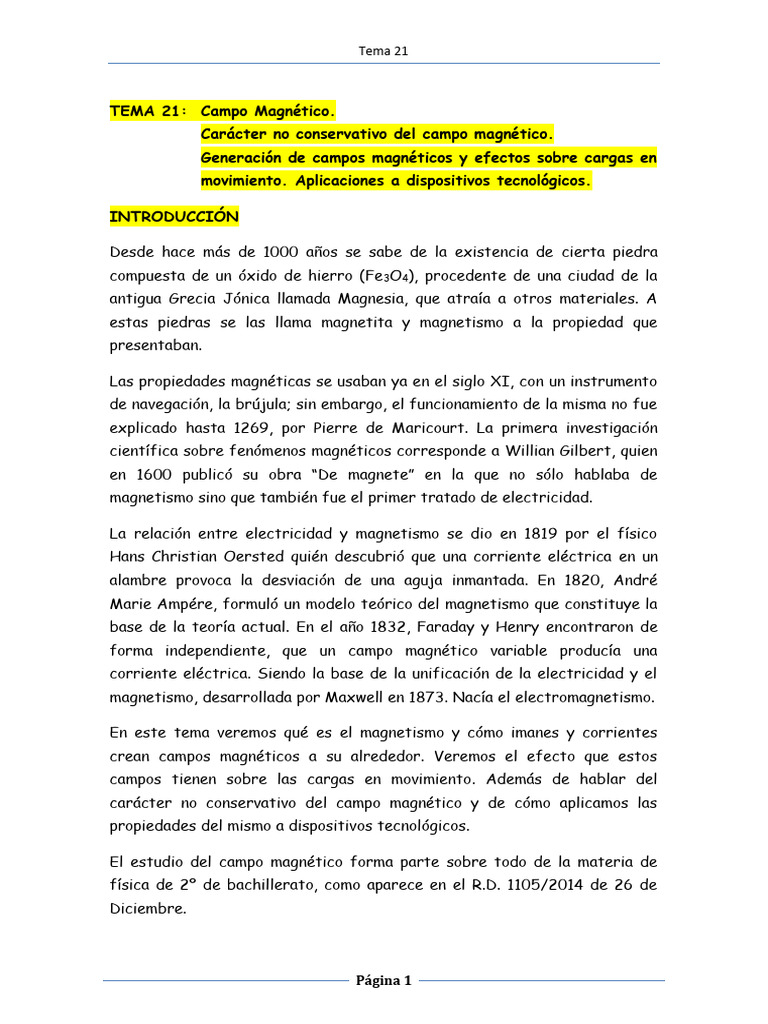 TEMA 21 | PDF | Magnetismo | Campo magnético