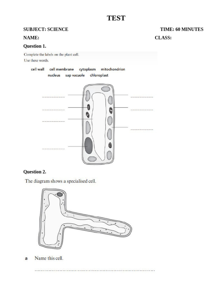 Science Test on Organisms and Cells | PDF