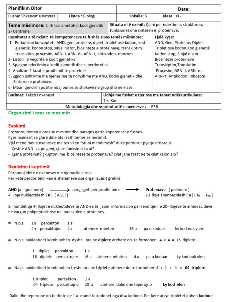 19 + 20 DITARI | PDF