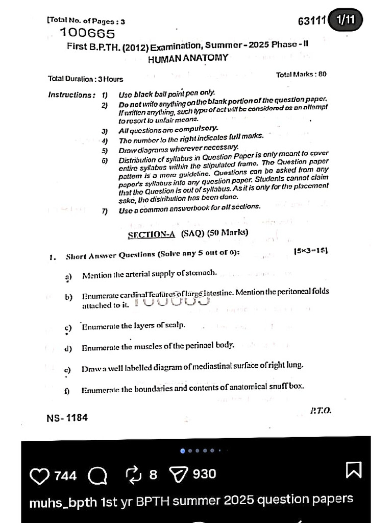1st Year Pyq | PDF