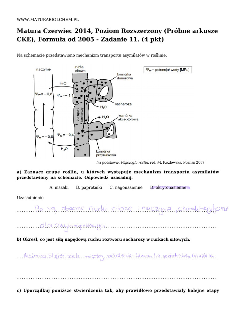zad_9997 | PDF