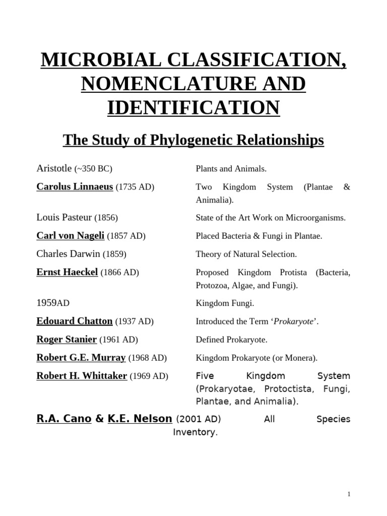 Microbial Classification and Identification | PDF | Biology | Microorganism