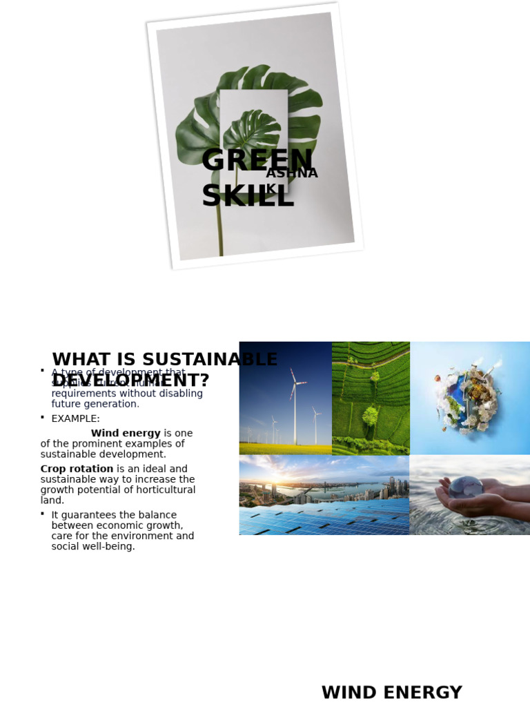 sustainable development | PDF | Sustainability | Climate Change Mitigation