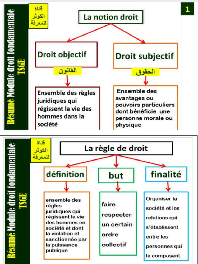 Résumé du Module de Droit Fondamental | PDF | Justice | Crime et violence