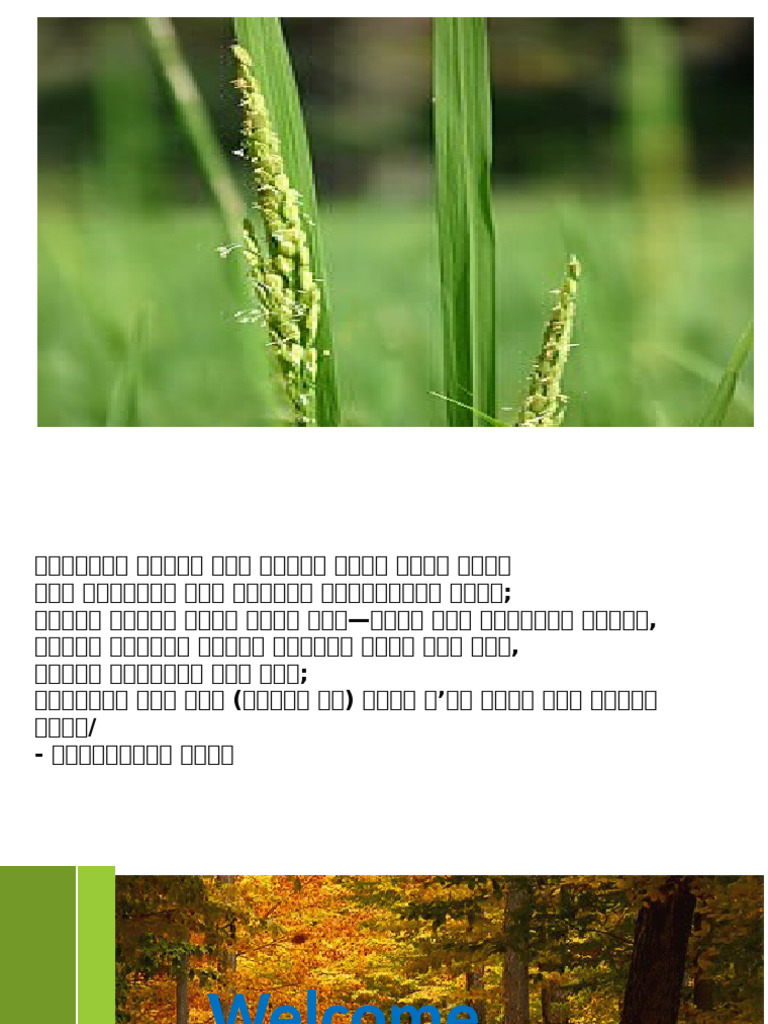 15 Modern Teaching Methods Explained | PDF | Learning | Project Based ...