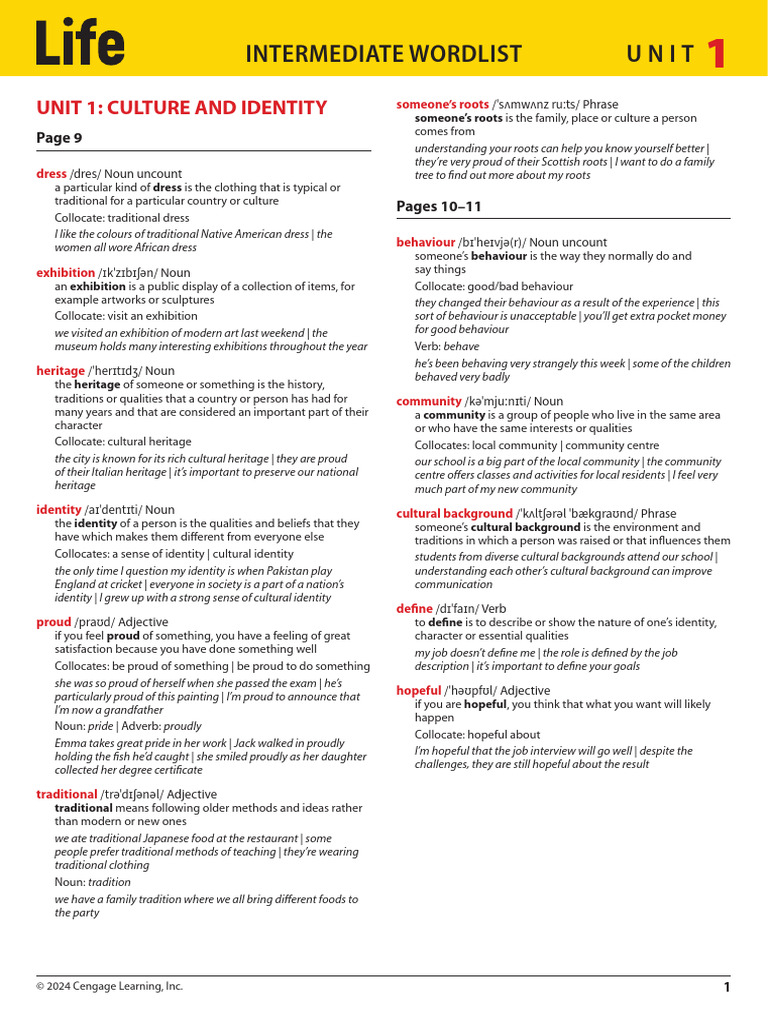 Culture and Identity Vocabulary Guide | PDF | Adjective | Entertainment