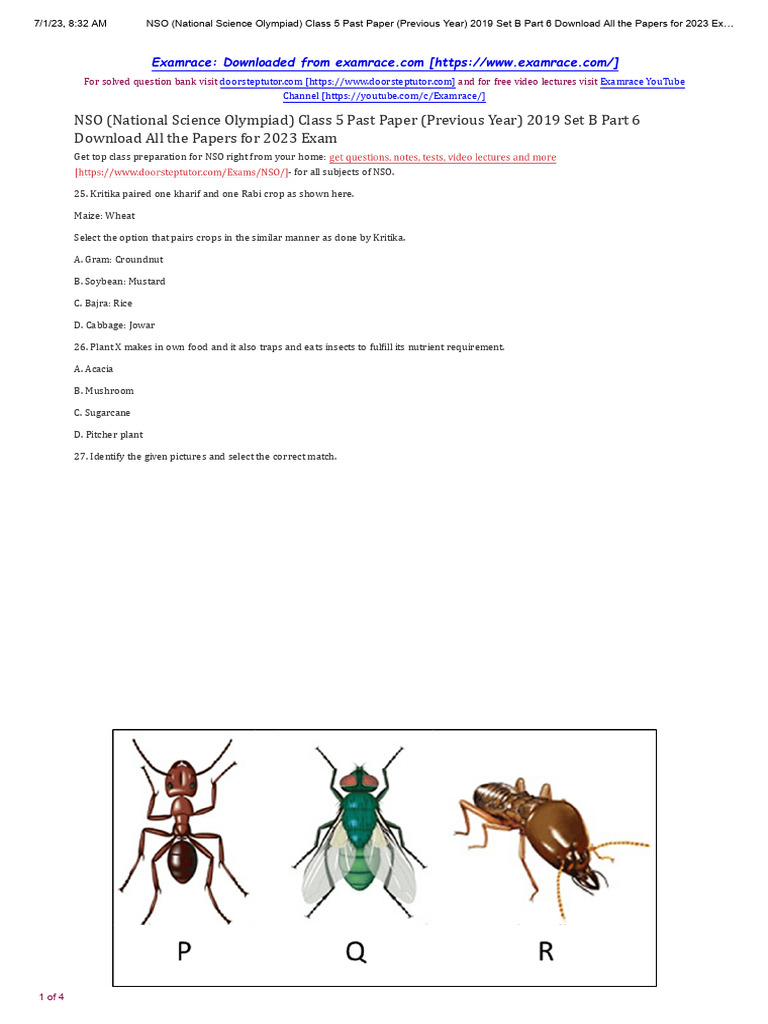NSO Class 5 Past Paper 2019 Set B | PDF | Agriculture