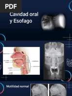 Videofluoroscopía de la Deglución: Procedimiento | PDF | Anatomía