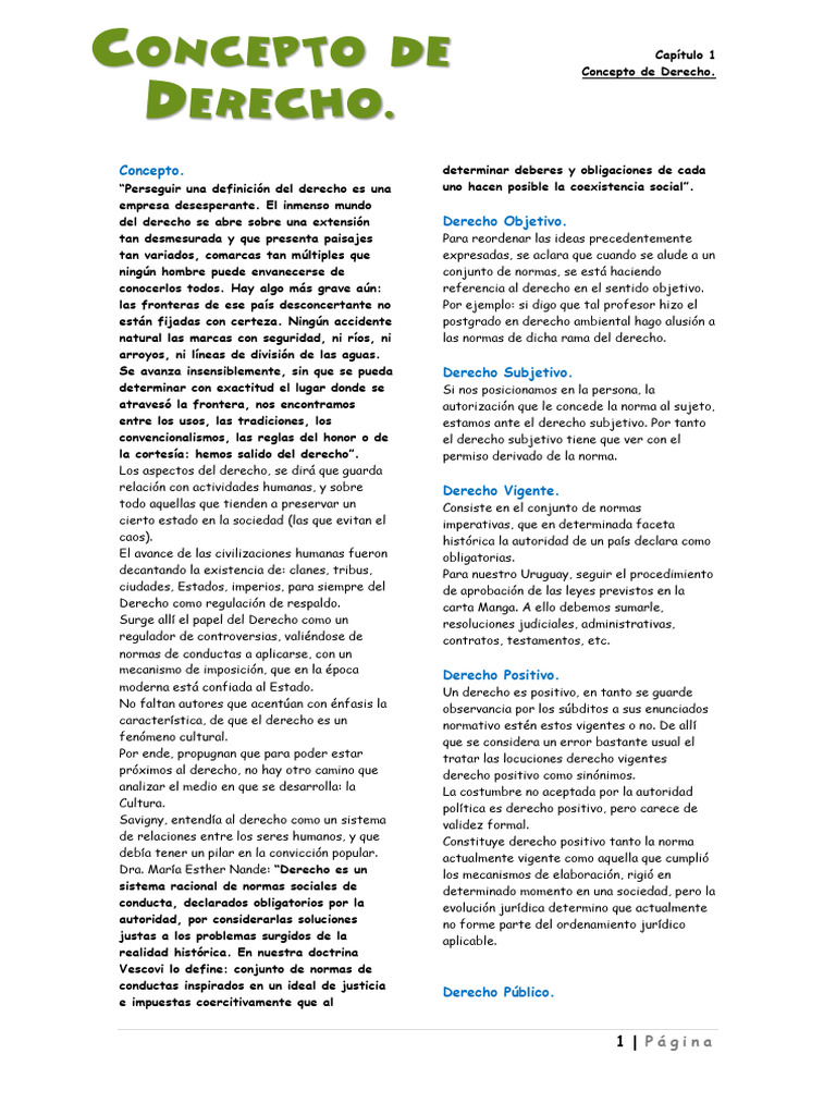 Conceptos Fundamentales del Derecho | PDF | Justicia | Crimen y violencia