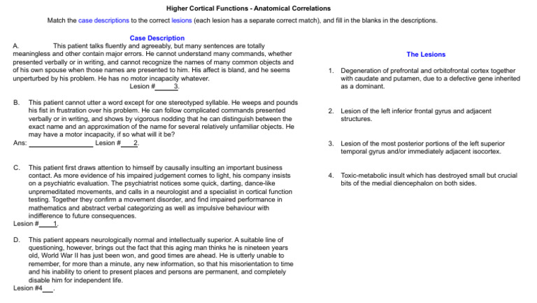 Understanding Brain Lesions and Functions | PDF | Cerebral Cortex ...