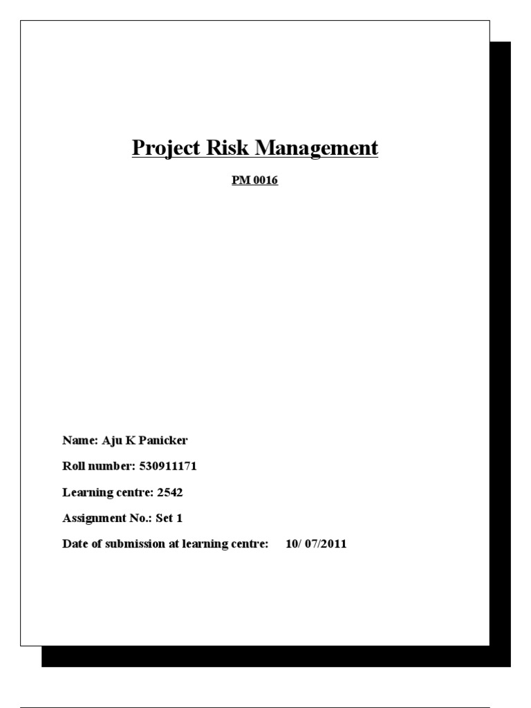 PM0016 Project Risk Management | PDF | Risk Management | Risk