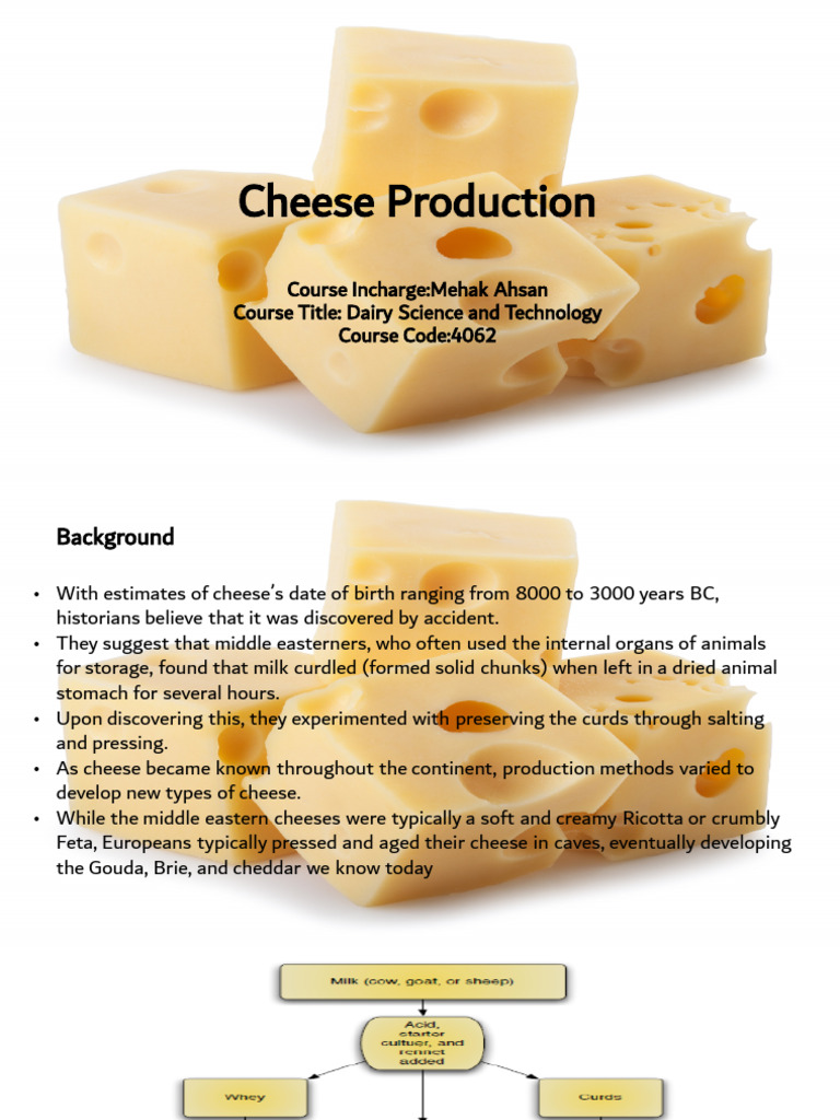 Cheese Production Process Explained | PDF | Cheese | Cheesemaking