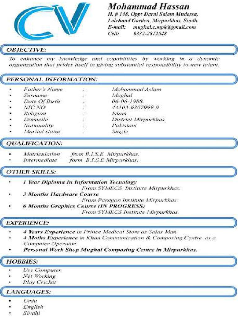 CV Format Blue | PDF